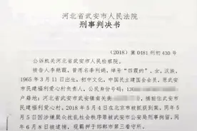 河北“爱心妈妈”李丽娟四罪并罚，一审获刑20年图片