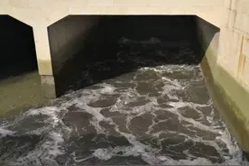 直播车｜西湾红树林偷排污水？宝安水务局回应了图片