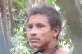 罕见！亚马逊热带雨林阿瓦部落狩猎视频曝光图片