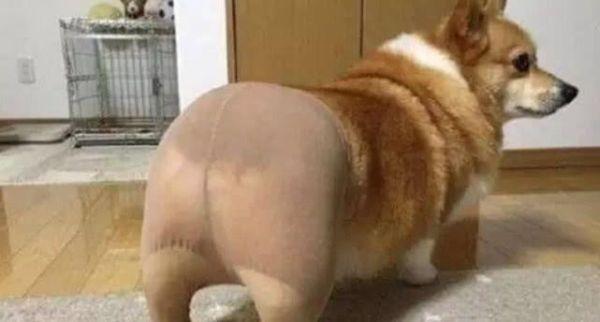 2025年12月 第12页