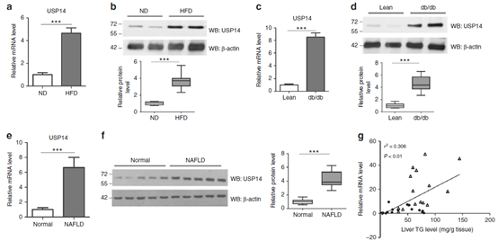 一夜间羡煞旁人的Nat. Comm.共一文章，我来解析一下其内在的套路精华
