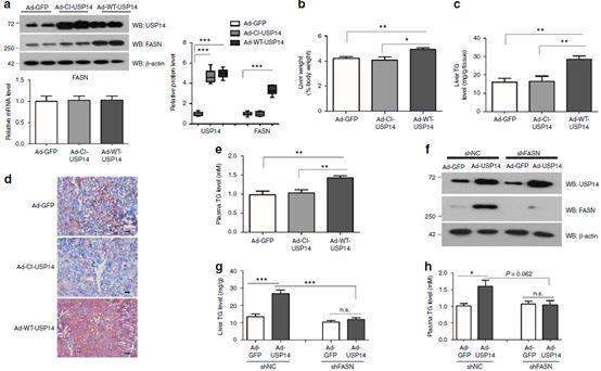 一夜间羡煞旁人的Nat. Comm.共一文章，我来解析一下其内在的套路精华