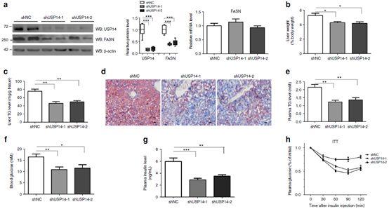 一夜间羡煞旁人的Nat. Comm.共一文章，我来解析一下其内在的套路精华
