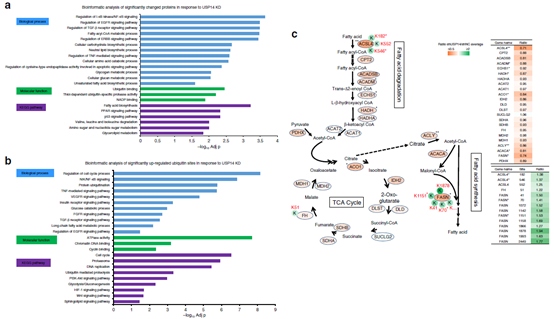 一夜间羡煞旁人的Nat. Comm.共一文章，我来解析一下其内在的套路精华