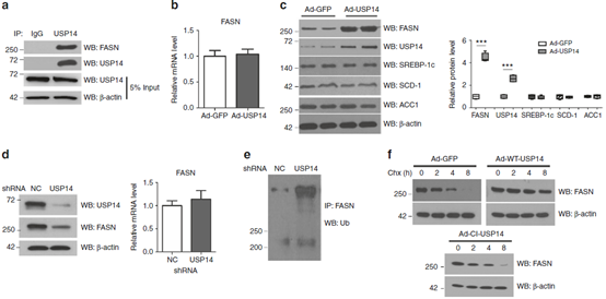 一夜间羡煞旁人的Nat. Comm.共一文章，我来解析一下其内在的套路精华