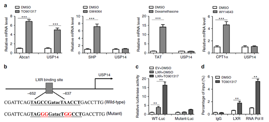 一夜间羡煞旁人的Nat. Comm.共一文章，我来解析一下其内在的套路精华