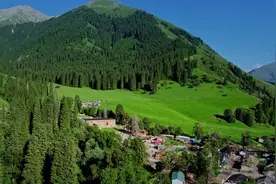 结构独特 内有玄机——这些小木屋成热门“打卡地”