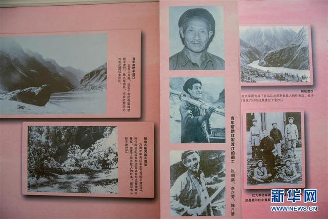 小葵花蓝莓胶原蛋白肽是真的吗 2026年小葵花骨胶原是真的吗
