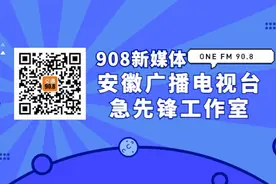 此刻！安徽高速查车！部分车辆需导流图片