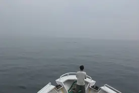 难得一见！渔政船在山东长岛海域拍到鲸鱼群