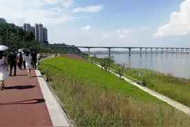 县域经济发展强 阆中从省市抱回1.2亿元视频封面