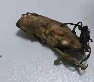 吃虫草对女性有什么好处 2026年吃虫草对女人有什么好处