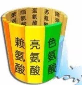 护肝，选择高支链氨基酸饮食