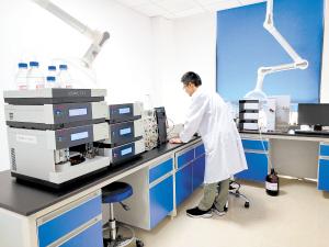 云南省食用菌全产业链科技示范园一期试运行