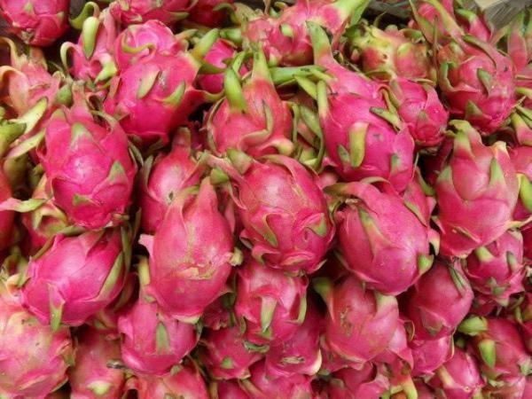 爱吃火龙果的要留意了，我也是今天才知道，抓紧告诉身边的人