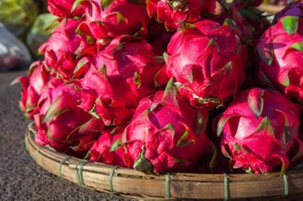 爱吃火龙果的要留意了，我也是今天才知道，抓紧告诉身边的人