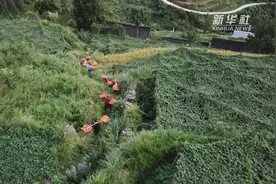 多彩贵州闯新路视频封面