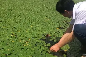 重庆石柱：康养经济架起脱贫路视频封面
