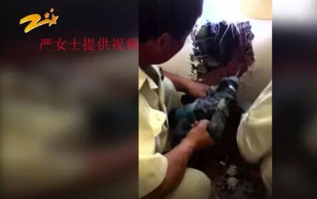 看到墙壁就鸡皮疙瘩
