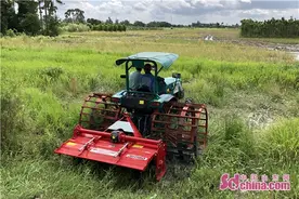 雷沃水田拖拉机在越南市场测试成功图片
