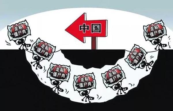 僵尸列车下载破解版（特大走私僵尸肉团伙案细节曝光3年14087吨流入昆明成都重庆长沙）