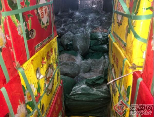 特大走私“僵尸肉”团伙案细节曝光！3年14087吨流入昆明成都重庆长沙……