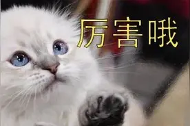 不管冰箱里的冰霜多厚，用这招，冰霜自动脱落图片