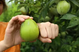 马上周末了，去这8个精品乡村放松放松吧图片