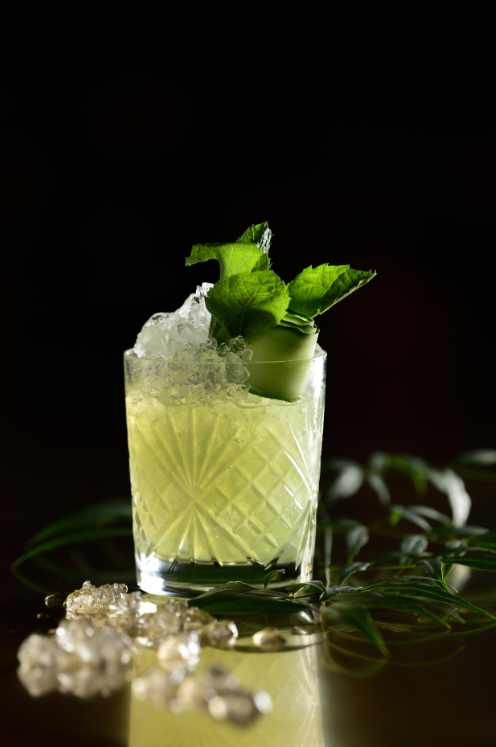 竹笙煲花胶 2026年竹笙花胶炖鸡做法大全