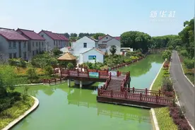 上海淀峰村：生态河道扮靓“美丽乡村”视频封面
