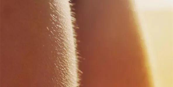 鸡皮肤黑点图片