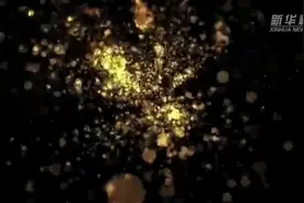 向深夜延伸 文化消费或成夜间消费“黑马”视频封面