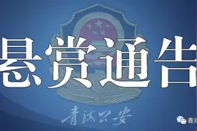 12名涉黑涉恶在逃人员信息公布，见到请立即报警图片