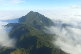 瞰大田：中国高山茶之乡视频封面
