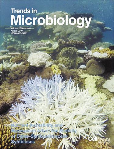 2026年3月1日 第4页