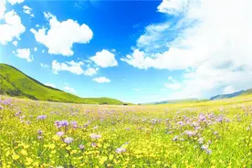 红原俄么塘花海：旅游发展与生态环境保护实现共赢图片