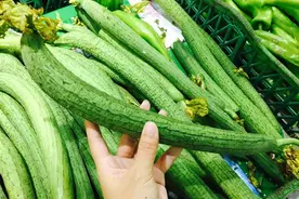 丝瓜全身都是宝！瓜肉、瓜花、瓜籽……可遇不可求的宝贝图片