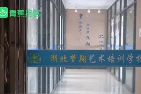 培训学校只上半天课停课不退万元学费 女儿心生内疚离家出走视频封面