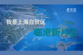 大家好，我是上海自贸区临港新片区视频封面