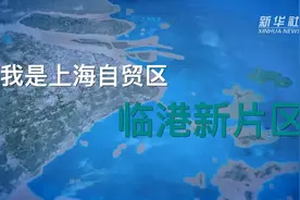 大家好，我是上海自贸区临港新片区视频封面