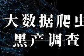 大数据爬虫黑产调查：数百元网购数据采集器，各行业信息订制可查图片