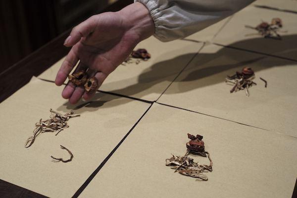 固宁牌含11型胶原蛋白软骨粉片 固宁牌胶原蛋白软骨粉功效