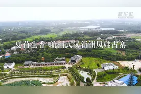 夏荷生香 航拍武汉新洲凤娃古寨视频封面