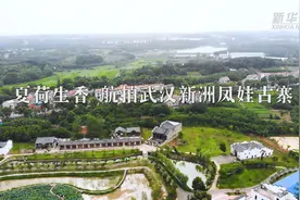 夏荷生香 航拍武汉新洲凤娃古寨视频封面