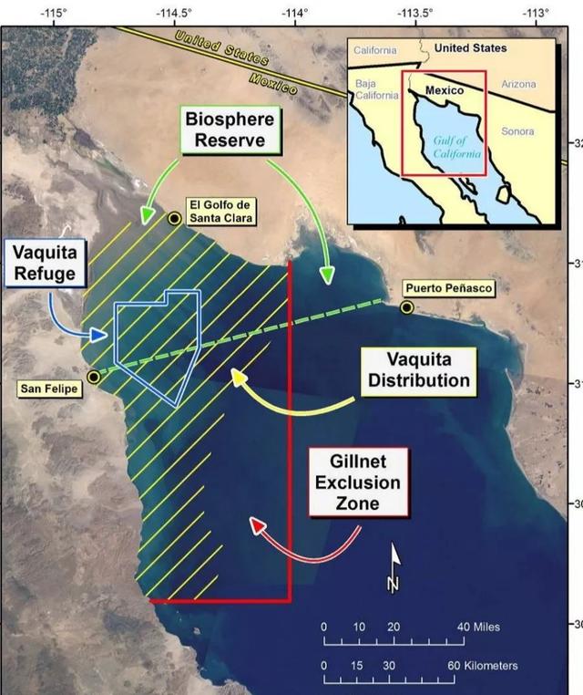 花胶鱼翅羹 花胶鱼翅羹大盖多钱一份