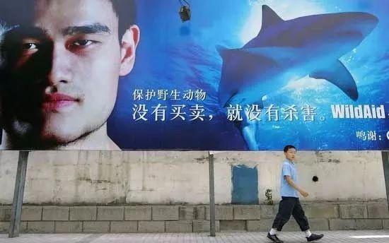 花胶是不是海鲜 花胶是不是海鲜类