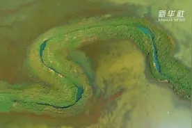 航拍察尔汗盐湖湿地：水草丰美鸥鹭齐飞