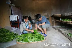 石泉村妇供两儿子上大学 还要照料瘫痪婆婆 生病不敢跟孩子说图片