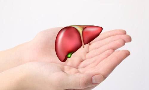 必看：转氨酶高的人不能随便吃，这几点禁忌要牢记