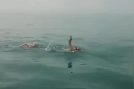 9岁女童“追父”13小时横渡琼州海峡视频封面